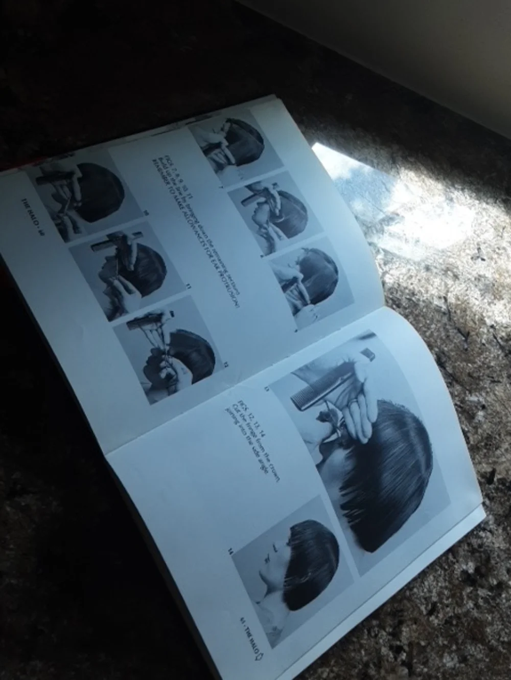 Cutting Hair The Vidal Sassoon Way Book
